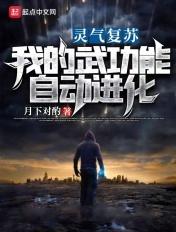 我的武功能自动进化 我的武功能自动进化